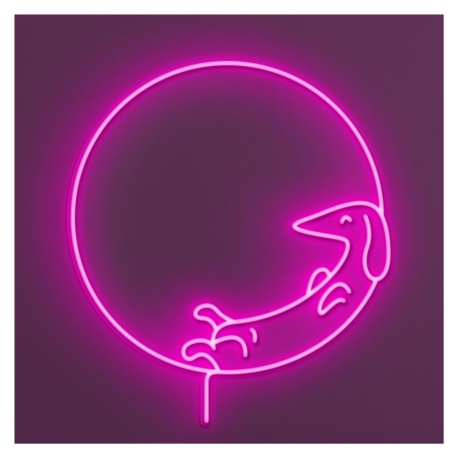 RONGCH Hanging Art Signs Dachshund Dog Neon Sign, Suitable for Home Wall Decor with Brightness Adjustable 50cm