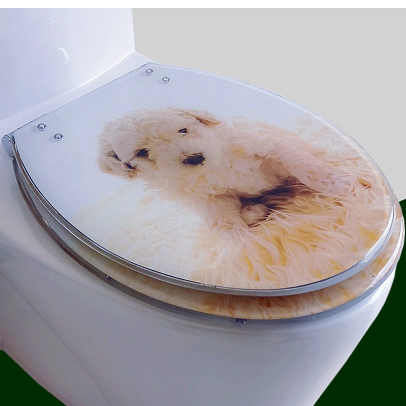 Ldhsjh 6 Silent Fix Quick Install 150Kg Bear, Adjustable, Lightweight, Durable, Portable, User-Friendly, Compact, Resin, Toilet, Seat, Round, Quiet, Close, Attach