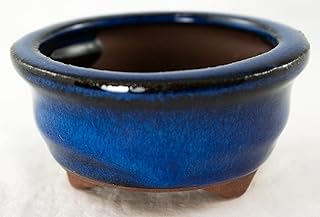 Round Blue Mame Shohin Bonsai Pot, Cactus & Succulent, Accent Plants Pla...