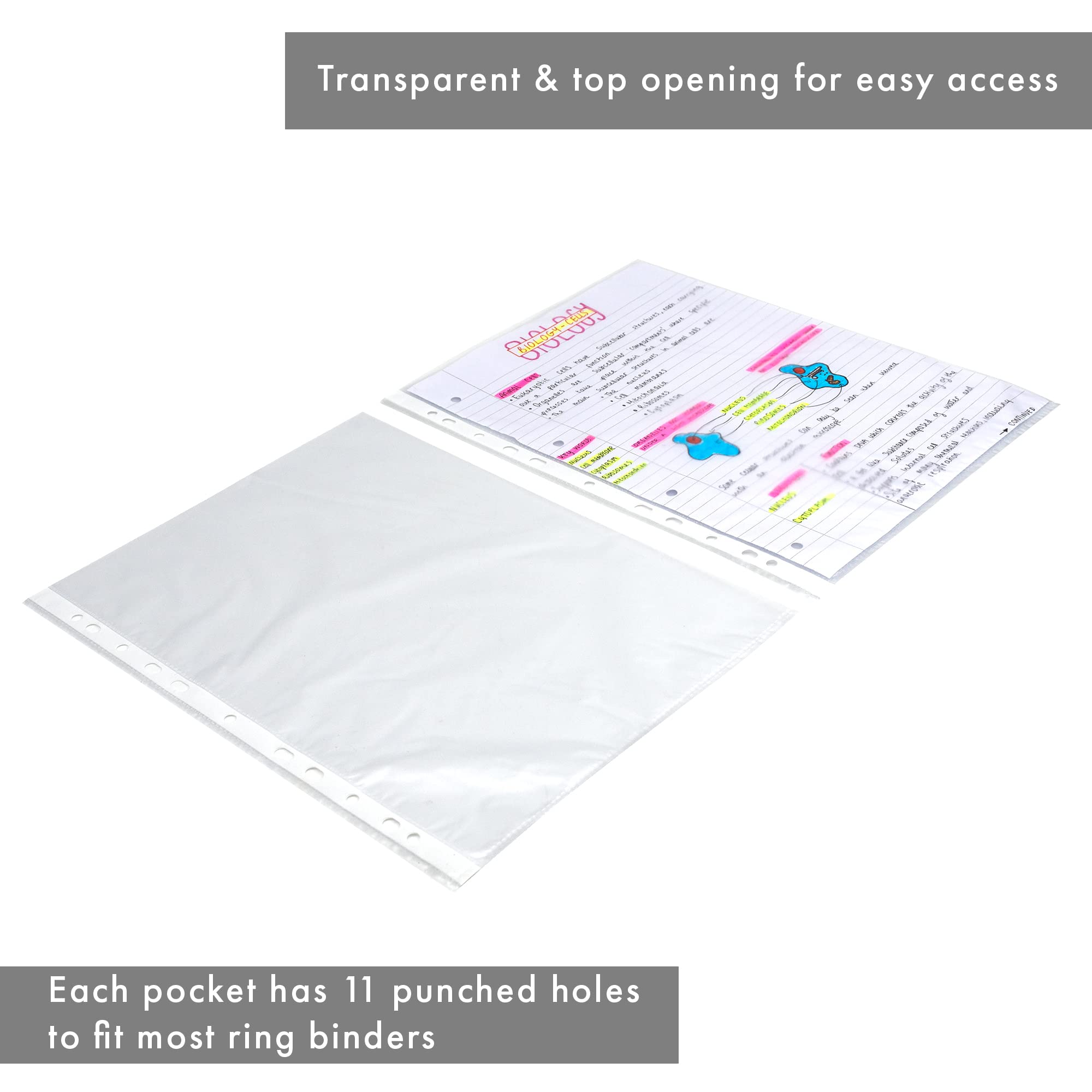 Concord Transparent A4 Punched Pockets - Pack Of 25