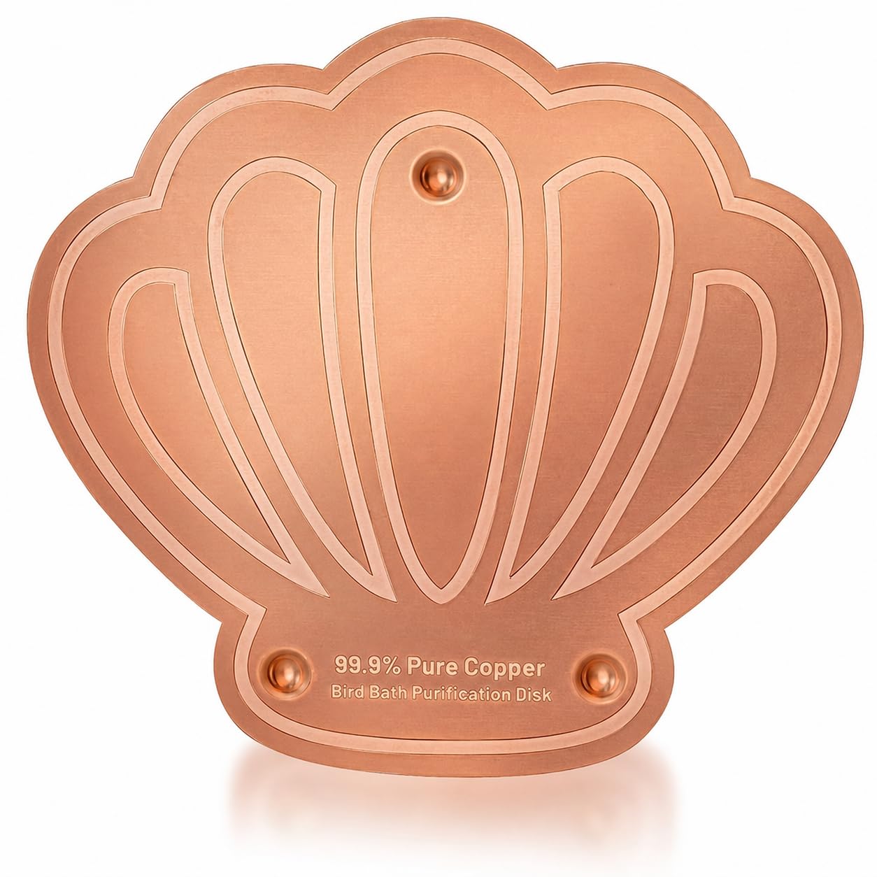 99.999% Copper Bird Bath Disk 100mm, Shape of Shell, for Feeders — image 1
