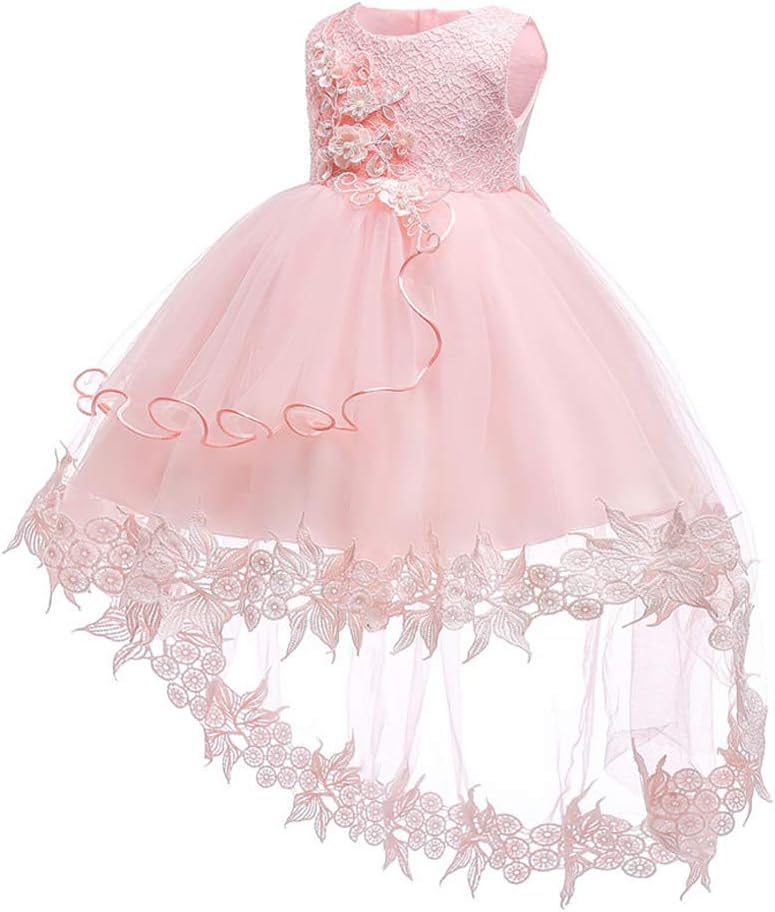 LZHBaby Girls Ruffle Lace Embroidery Sequin Bowknot Dresses Tutu Gown Pageant Wedding Party Dress with Headwear 0M-5Y