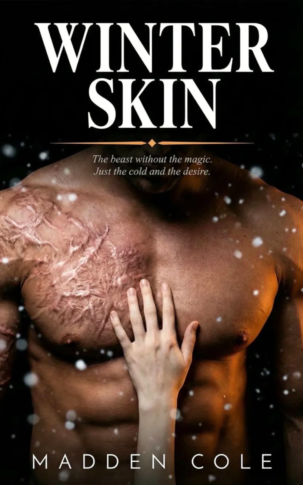 Winter Skin: A Dark Romance Novel