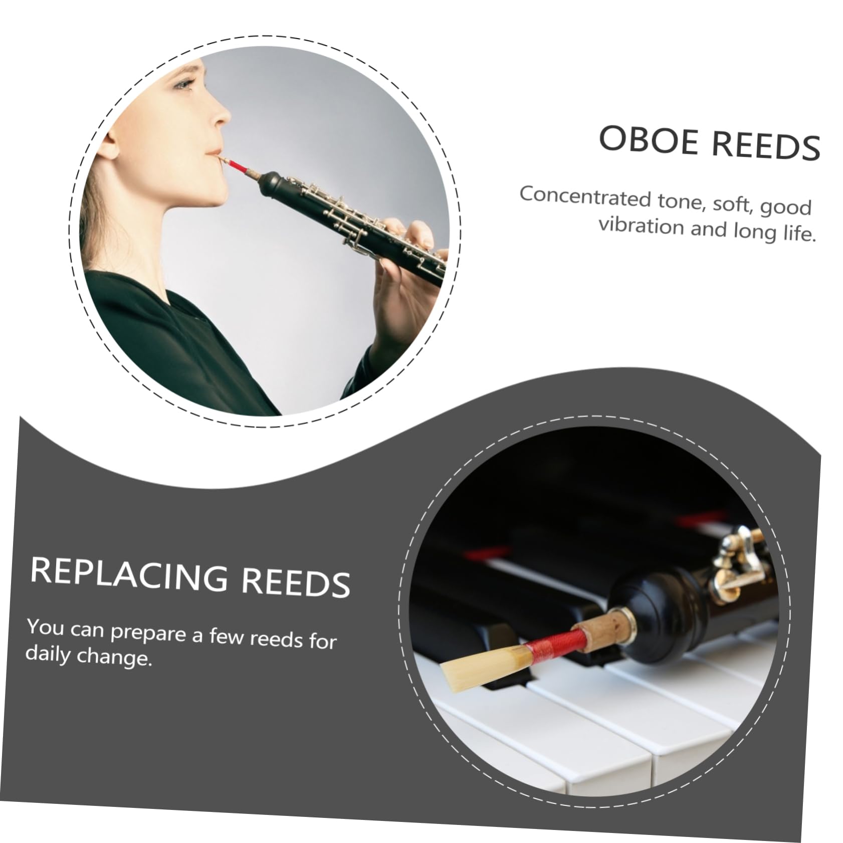 TOYANDONA 15pezzi Reeds Per Oboe Legno Con Scatole Di Stoccaggio Da Facile Da Installare e Sicuri Accessori Per Strumenti Musicali Alta Durata e Protezione Ottimale