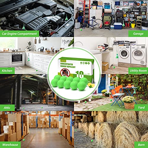 Magic Cat Rodent Repellent, 10 Pack Natural Peppermint Oil Pet Safe To Repel Mice And Rats, Mouse Away Repellent For Car Engine Rv Closet Truck Garage Cabinet Corridor Indoor Outdoor Rodent Control #TOP6