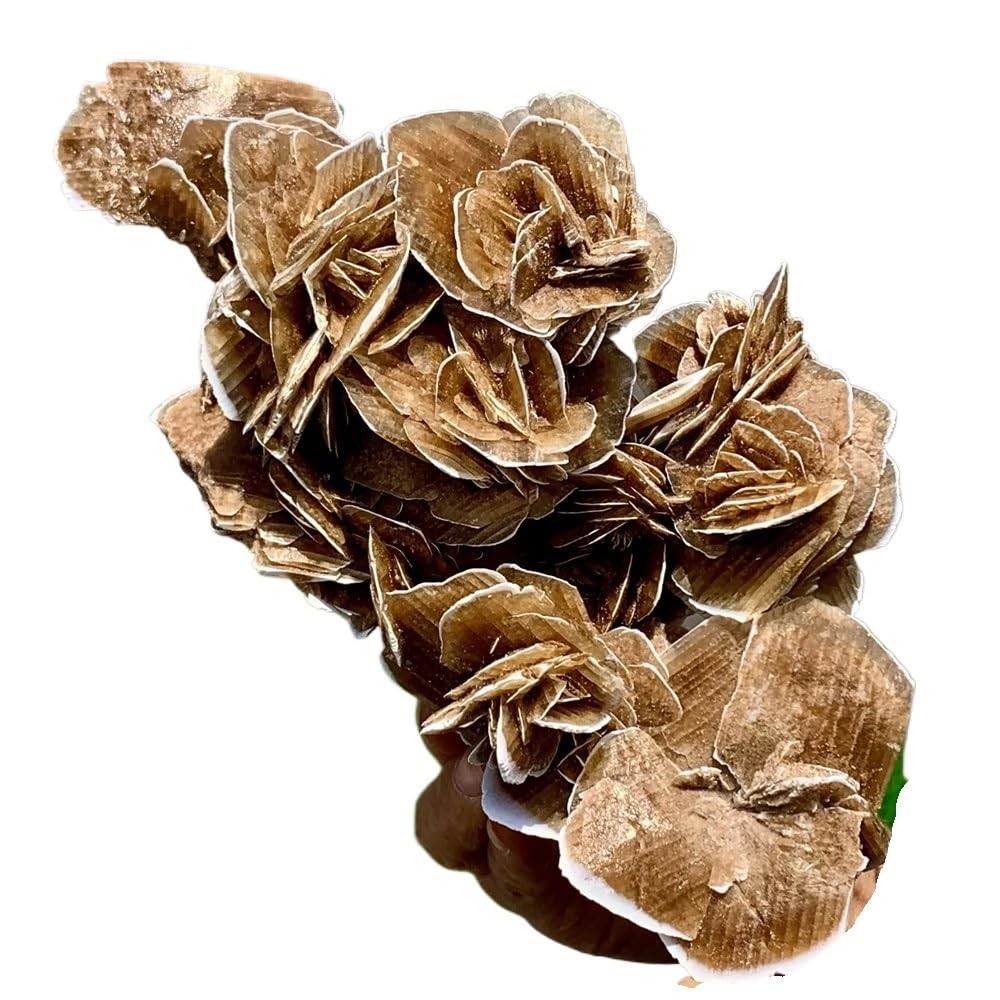 AARTERZZA 1pc 210-300g Selenite Desert Rose Crystal Cluster Gemstone Room and Office Decoration