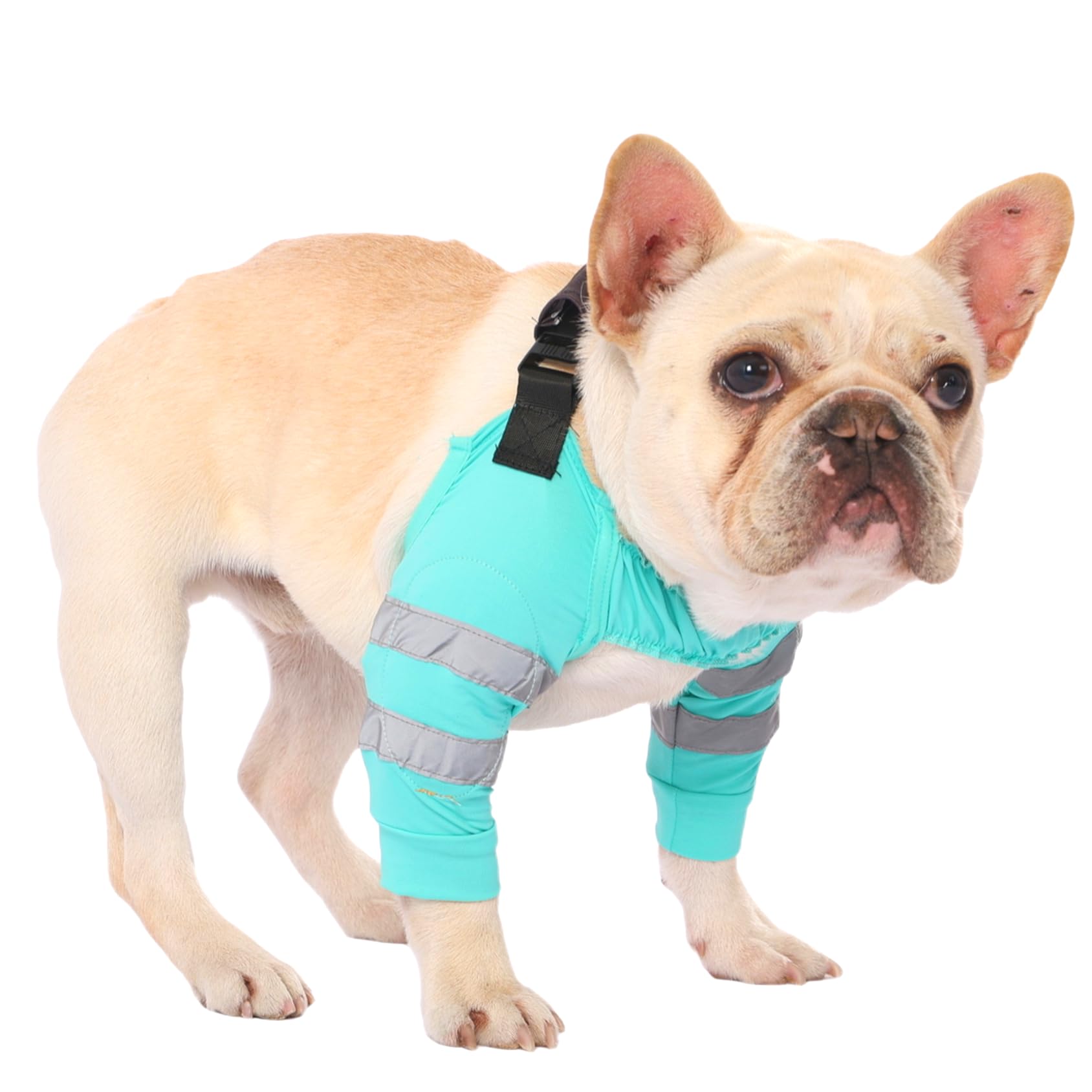 Manchon de jambe avant pour chien en textile doux haut de gamme