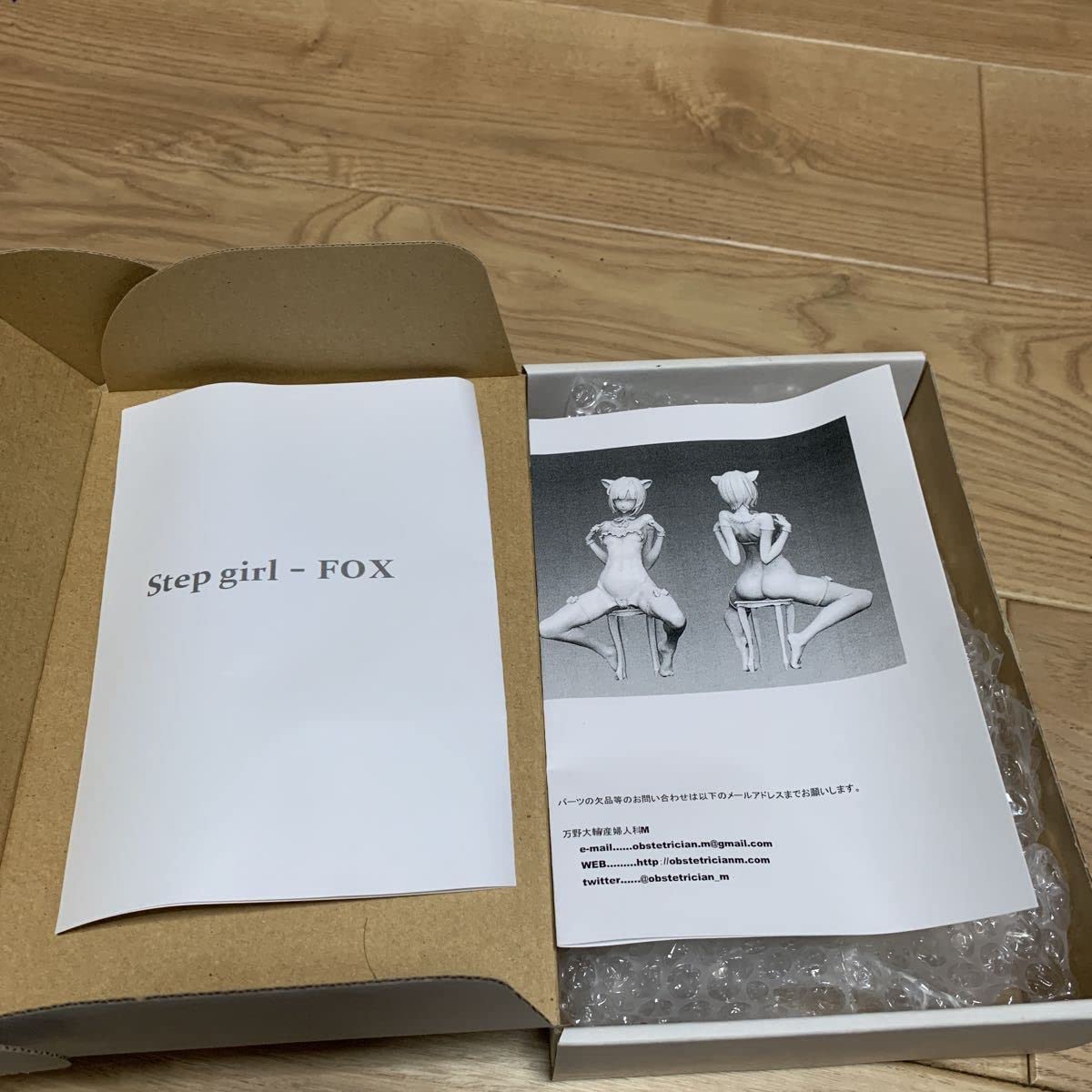 Stepgirl-FOX 産婦人科M レジンキット ガレージキット Stepgirl-FOX 産婦人科M レジンキット ガレージキットワンフェス