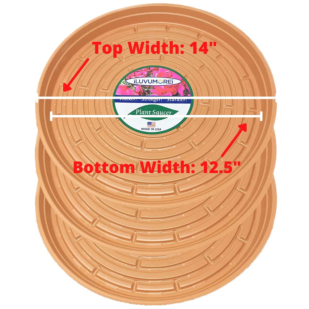 Emsco Group DISC Saucer Lime 26