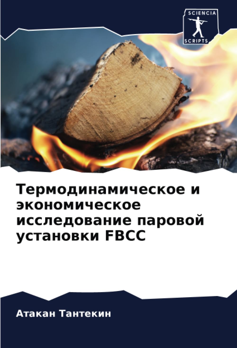 Термодинамическое и экономическое исследование паровой установки FBCC