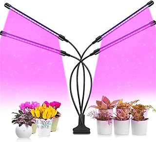 SUNTOUR Federsattelstütze SP12-NCX 31,6 mm schwarz