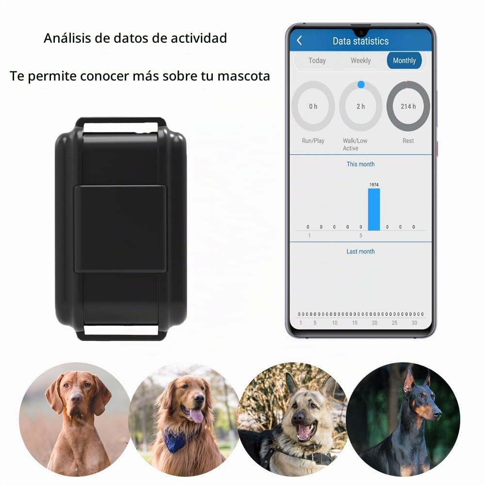 Zeerkeer GPS Dog Tracker 4G GPS Collar para Perros con Valla Electrónica Collar Anti Perro Callejero Sigue Los Pasos De Tu Mascota A Través De La App Puedes Encontrarlo por Sonido Y Luz -Free App