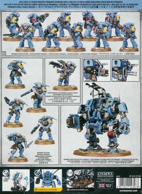 超美品/DYNAMIC/小学生向け/女の子/スキーセット /メンテ・Wax