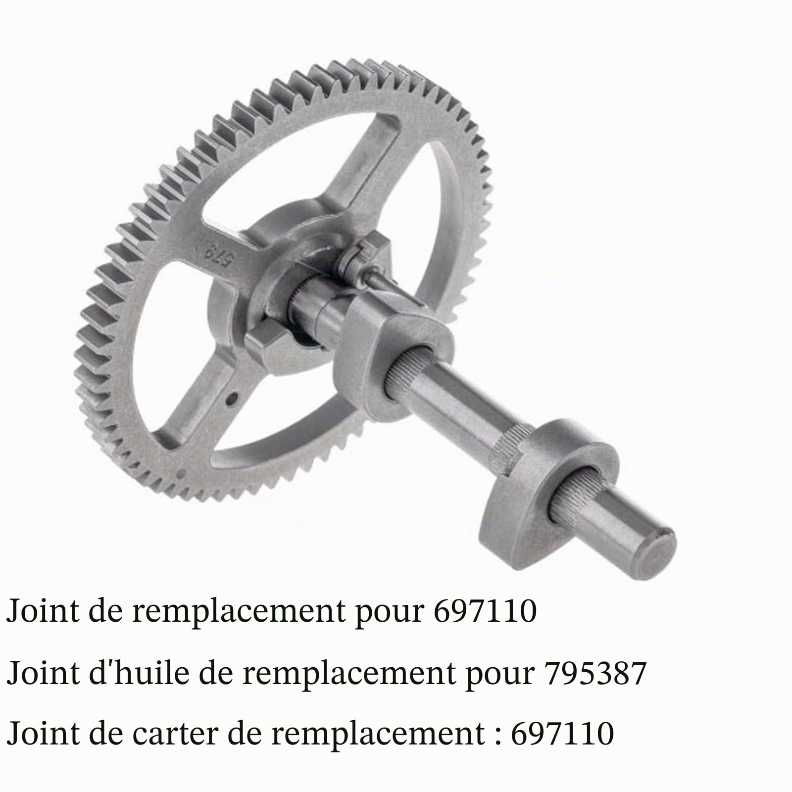 Compatible avec arbre à cames 793880 pour Briggs & Stratton 793583 792681 791942 795102 Kit d'arbre à cames avec joint 697110, joint d'huile 795387