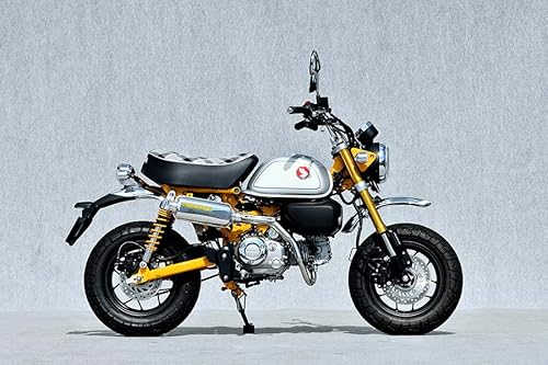 }g[VO(YAMAMOTO) 21`23 L[125 SPEC-A}t[ `^ UP vX 10137-71UPP