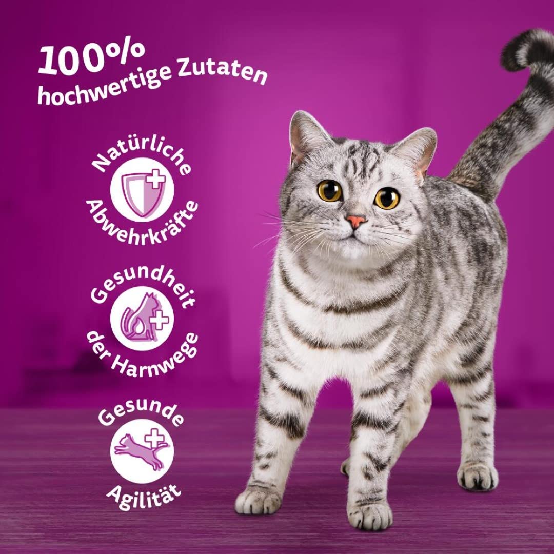 Whiskas 7+ cibo per gatti, pollame a scelta in salsa, 12 x 85 g (4 confezioni) – cibo umido di alta qualità a partire dai 7 anni in 48 sacchetti