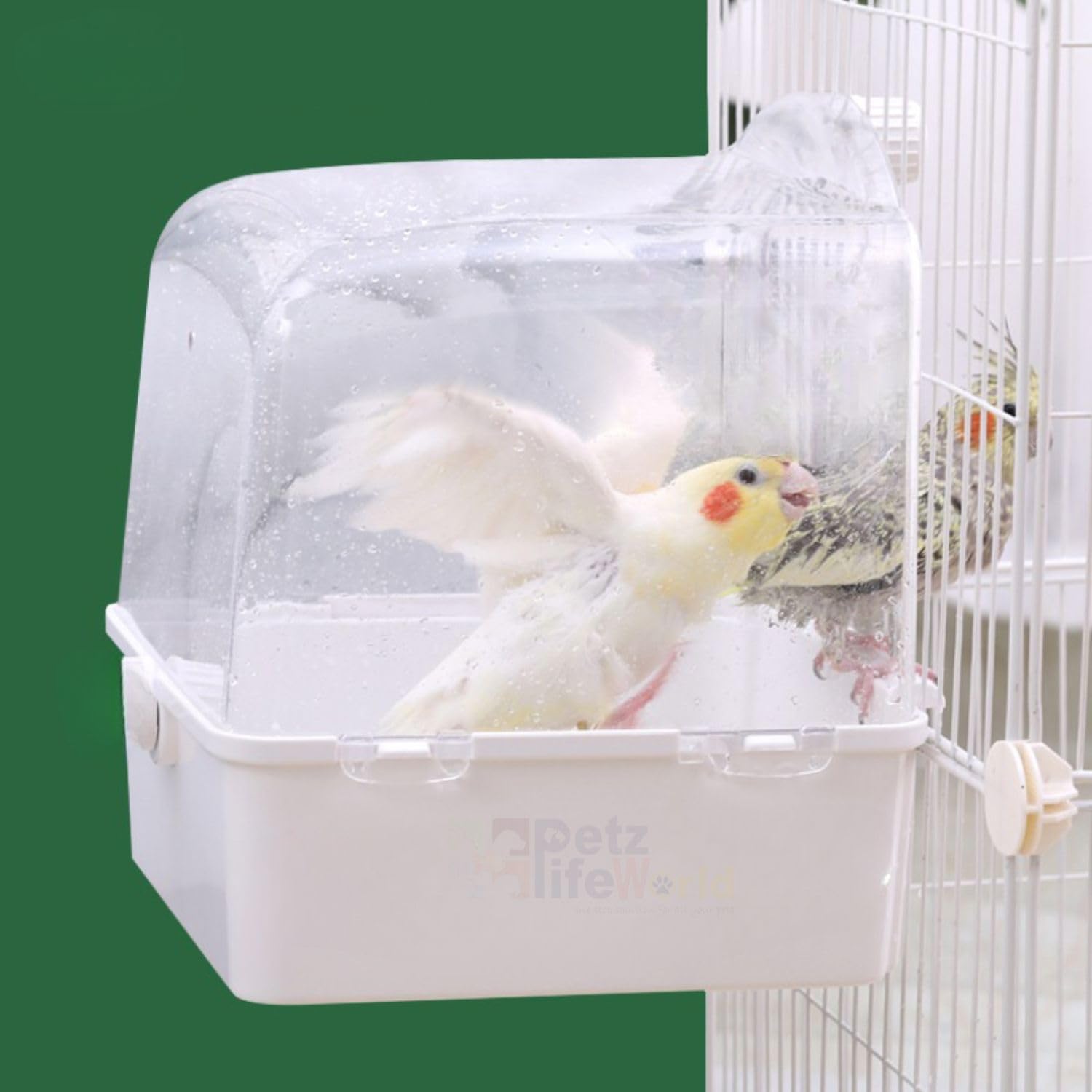 VAYINATO® Plastic Birds Bath Tub (Random Colour) Hanging Bath Tub Birds Cage Acessories Suitable for All Small Birds | Made of Plastic | Non Breakable By Petzlifeworld 4