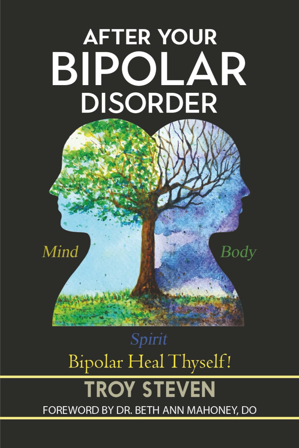 After Your Bipolar Disorder (The Breaking Bipolar Series)