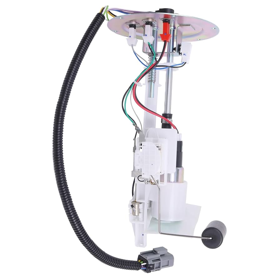 ピザポテト　 Puma Future Rider Pokémon Bulbasaur - 387324-01 Raffles