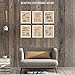 Vintage Star Vessels Vehicles Patent Prints, 6 (8x10) Unframed Photos, Wall Art Decor Gift for Home Office NASA Creator Work Gears Garage Man Cave Gaming Student Teacher ComicCon SciFi Wars Film Fan
