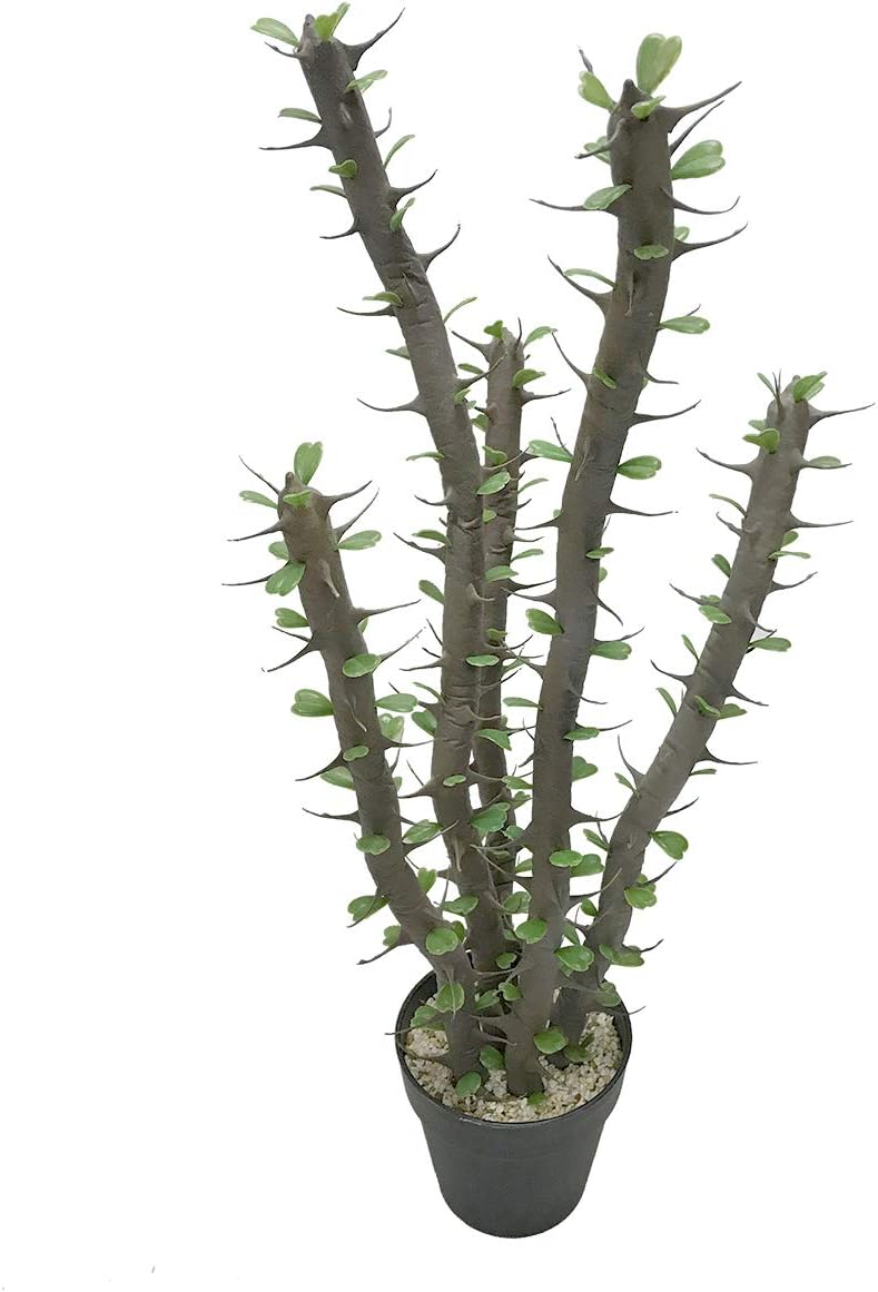 Green Plant Artificial Cactus with Leaves Home Office Table Decor Simulation Plant Plastic Pot …