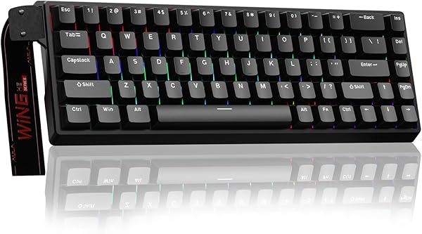 AULA WIN68 HE Mechanical Gaming Keyboard 60%, Hall Effect Magnetic Switch, Fast Trigger Mode Adjustable Actuation, 8000Hz Polling Rate, RGB Backlit, Wired Black Keyboard for Laptop/PC Gamer