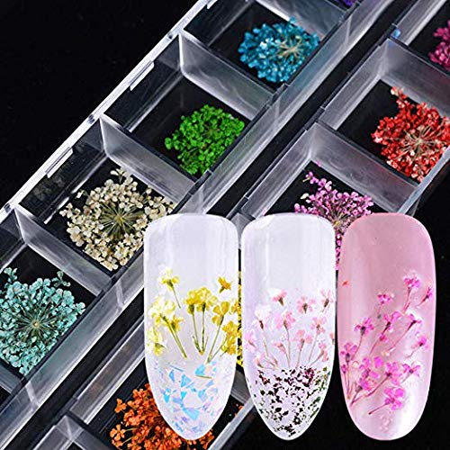 Changar JKP2020 3D Nail Dried Flowers Sticker Set Changar Real Dried Flowers thumb #4