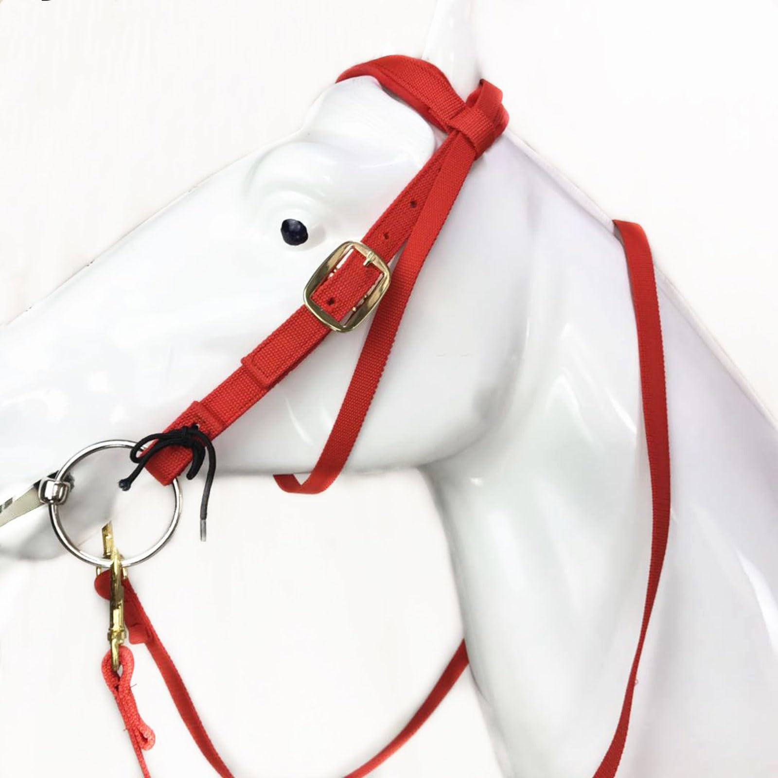 Cabestro para Caballos,Horse Halter Brida con riendas,Cabestro Acolchado,Ajustable de Cuerda Resistente,Material Suave y Totalmente Ajustable,para Entrenamiento y Competición