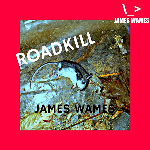 Roadkill [Explicit] by James Wames on Amazon Music - Amazon.com