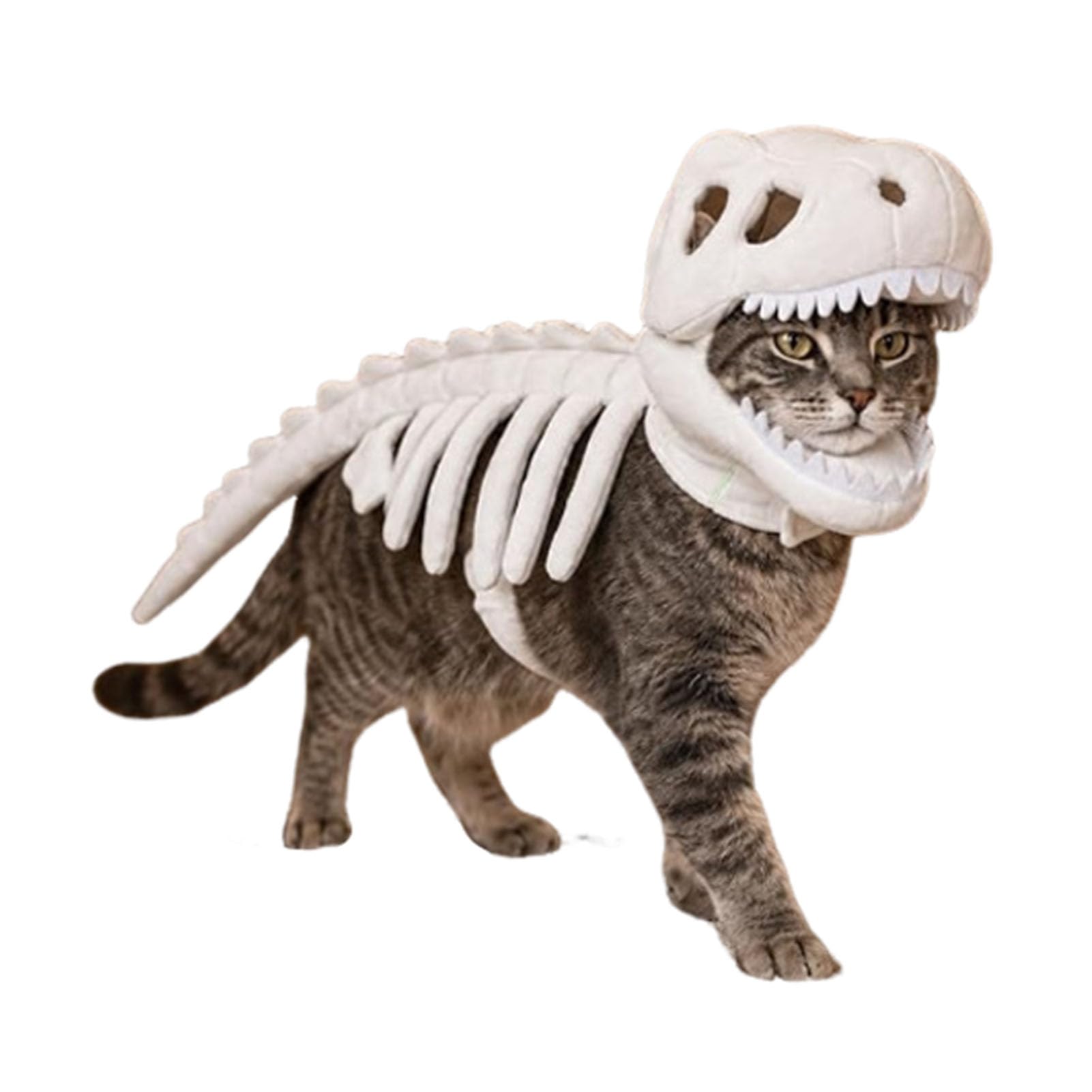 Pet Dinosaur Skeleton Costume Glow-in-the-Dark Halloween Outfit