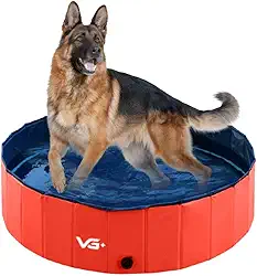 VG PLUS, Piscina Para Pets Animais De Estimação 160 X 30 Cm Vermelha VG+