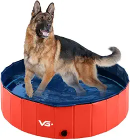 VG PLUS, Piscina Para Pets Animais De Estimação 160 X 30 Cm Vermelha VG+