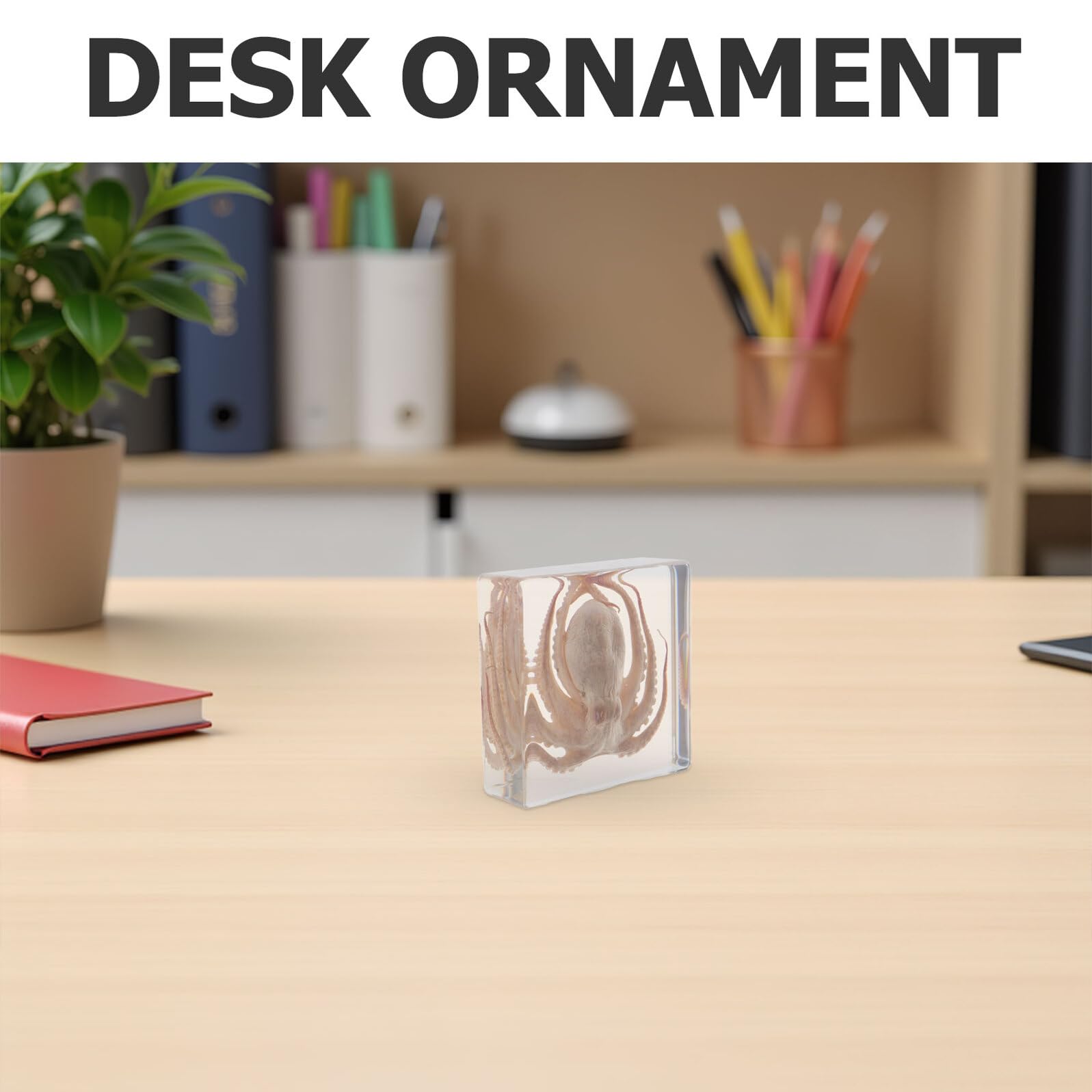 Specimen Design Creativo di Polpo in Resina per Educazione Scientifica e Aspetto Realistico 3" X 3" Decorazione da Scrivania per Ufficio e Collezione