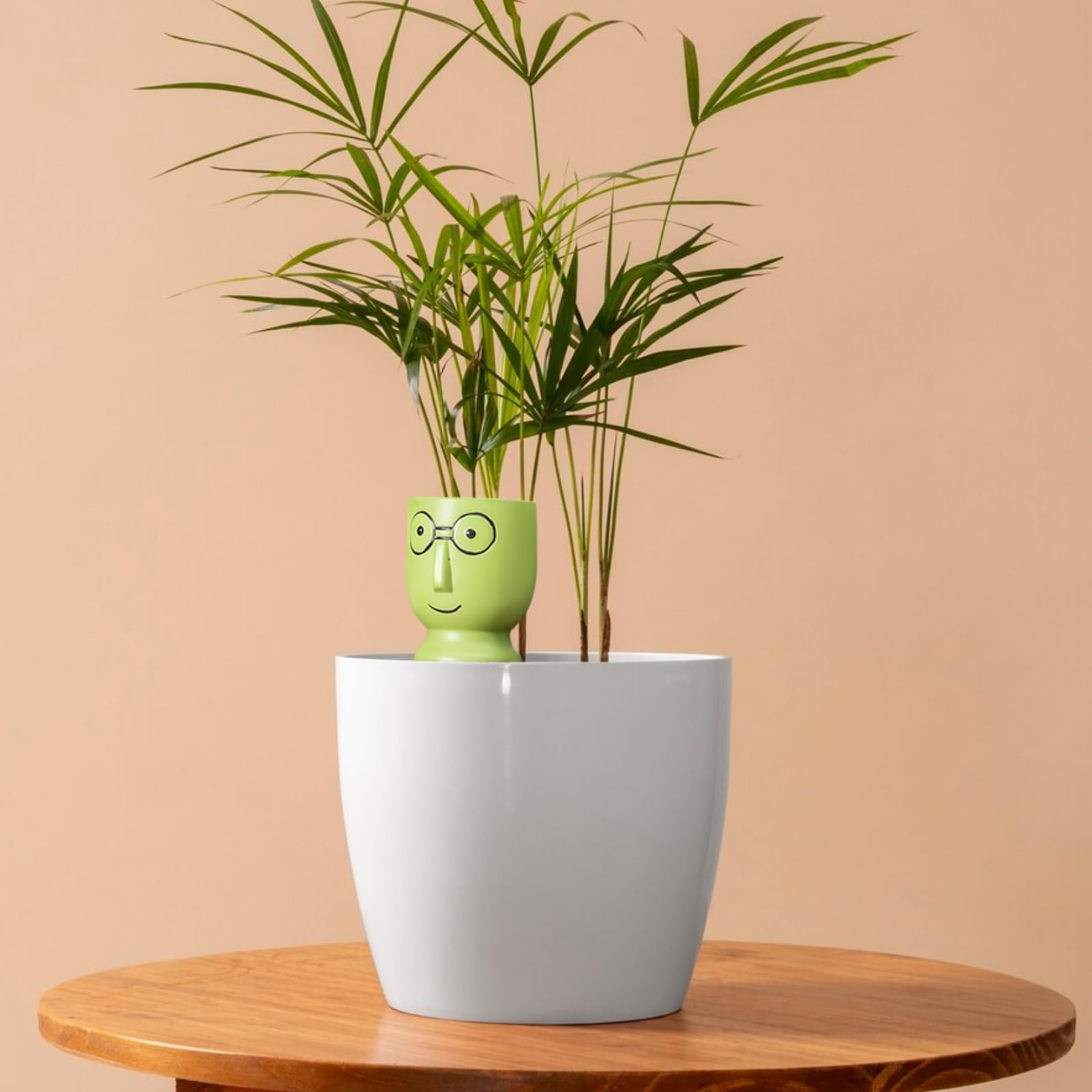 Générique Lot de 4 cônes d'arrosage Automatique en Terre Cuite pour Plantes, Forme drôle de tête avec Grandes Lunettes, Goutte à Goutte coloré, idéal pour l'extérieur et Les Vacances