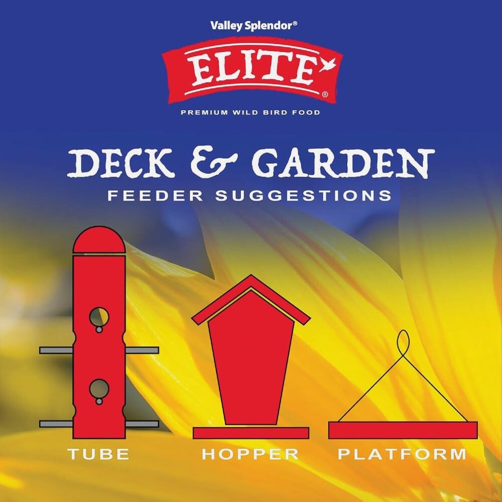Deck i ogród, 5 funtów (9543)