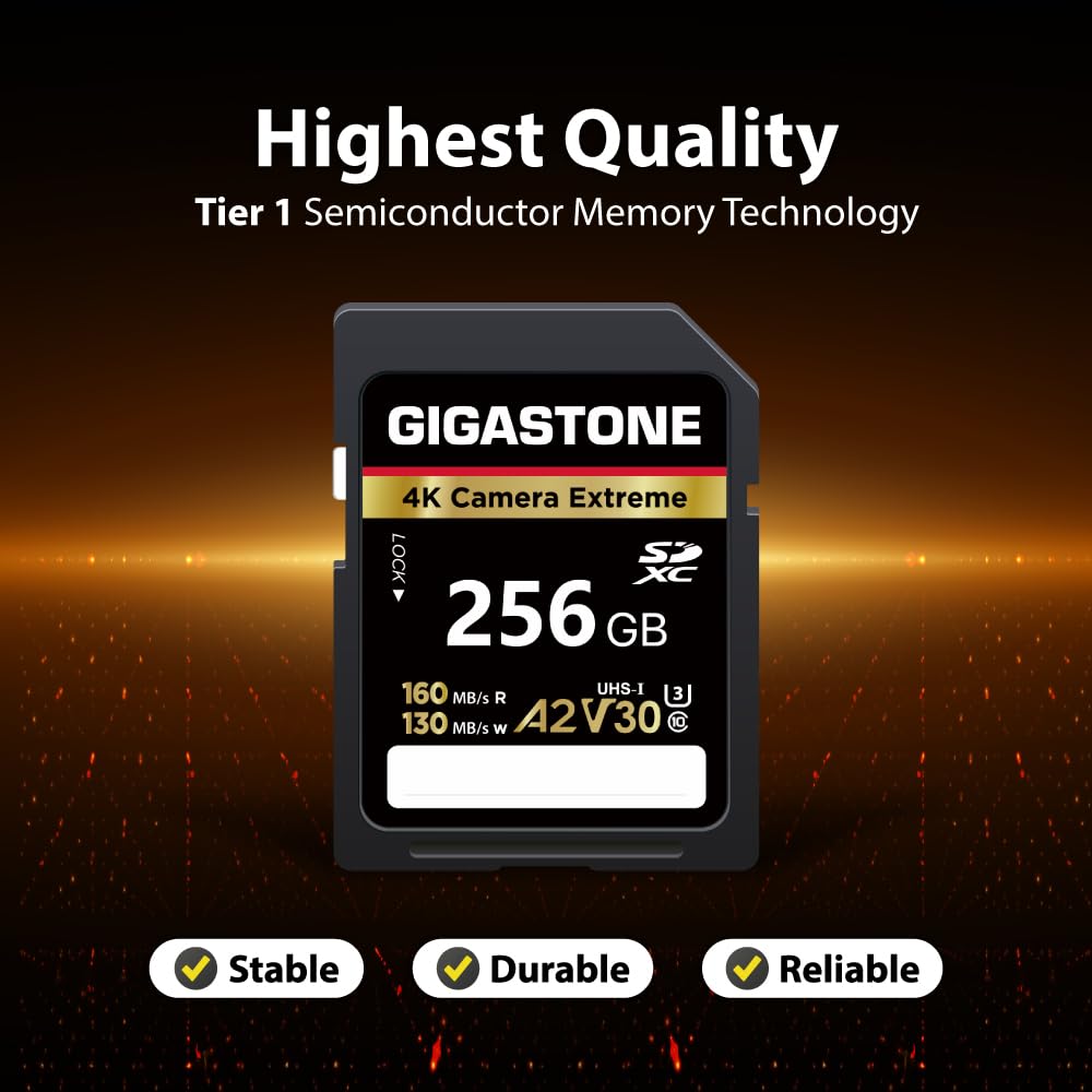 GIGASTONE A2 V30 Karta pamięci SDXC 256GB, 4K Extreme Serial Camera 160 MB/s.Canon Nikon Sony, U3 UHS-I Class 10 dla 4K UHD Video Camera, 1 mini etui