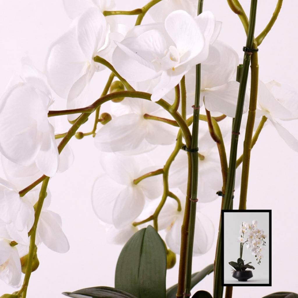 Bellissime Orchidee Fiori Artificiali Orchidee Bianche Fiori Artificiali Fiori Finti al Tatto Reali Composizione Floreale di Phalaenopsis in Seta con Vaso di Fiori,