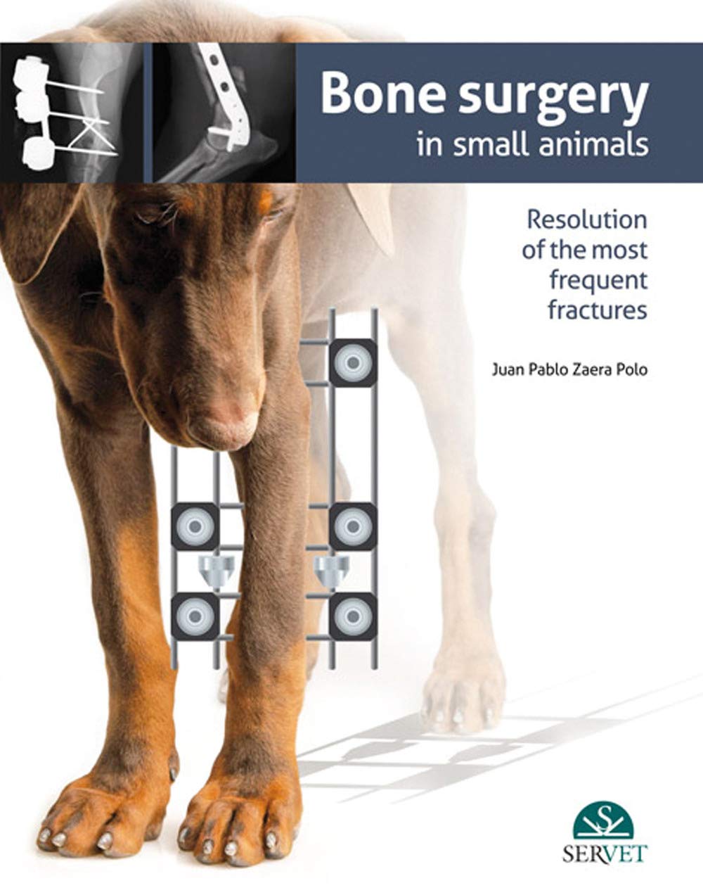 Bone surgery in small animals (SIN COLECCION)
