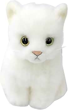 61uBTH96VqL._AC_UF350,