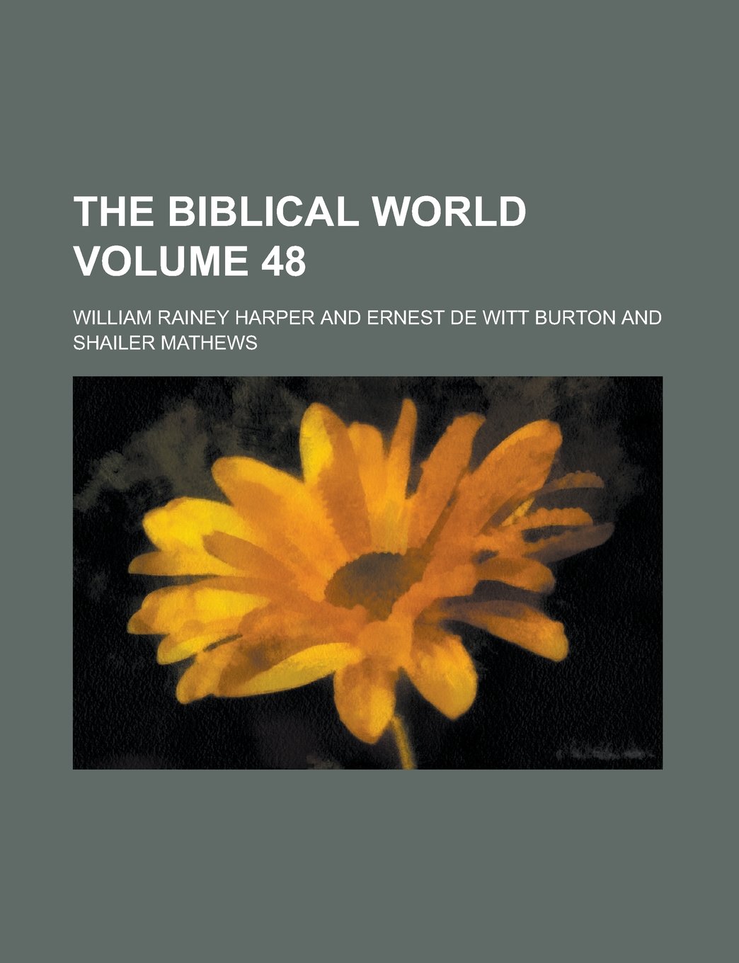 The Biblical World Volume 48