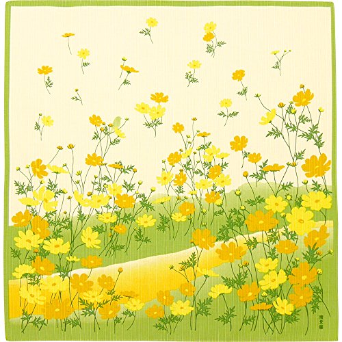 _l GziC~ 50cmj LoiRXX O[