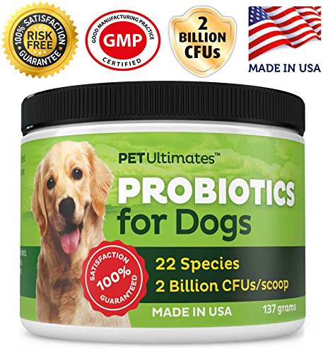 Pet Ultimates Probiotics For Dogs – 22-Species Dog Probiotics For Dog Digestive Support & Dog Antibiotics Recovery – Skin And Coat Supplement For Dogs Enhances Vitality – Dog Health Supplies (137 Gr) #TOP3