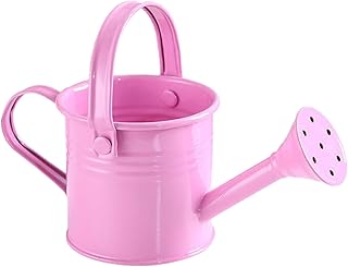 RSTYS Watering Can, 2.9 x 5.9in Mini Watering Can Easy Pour Shower Watering Can Metal Watering Can Indoor Outdoor Watering for Gardening and Planting