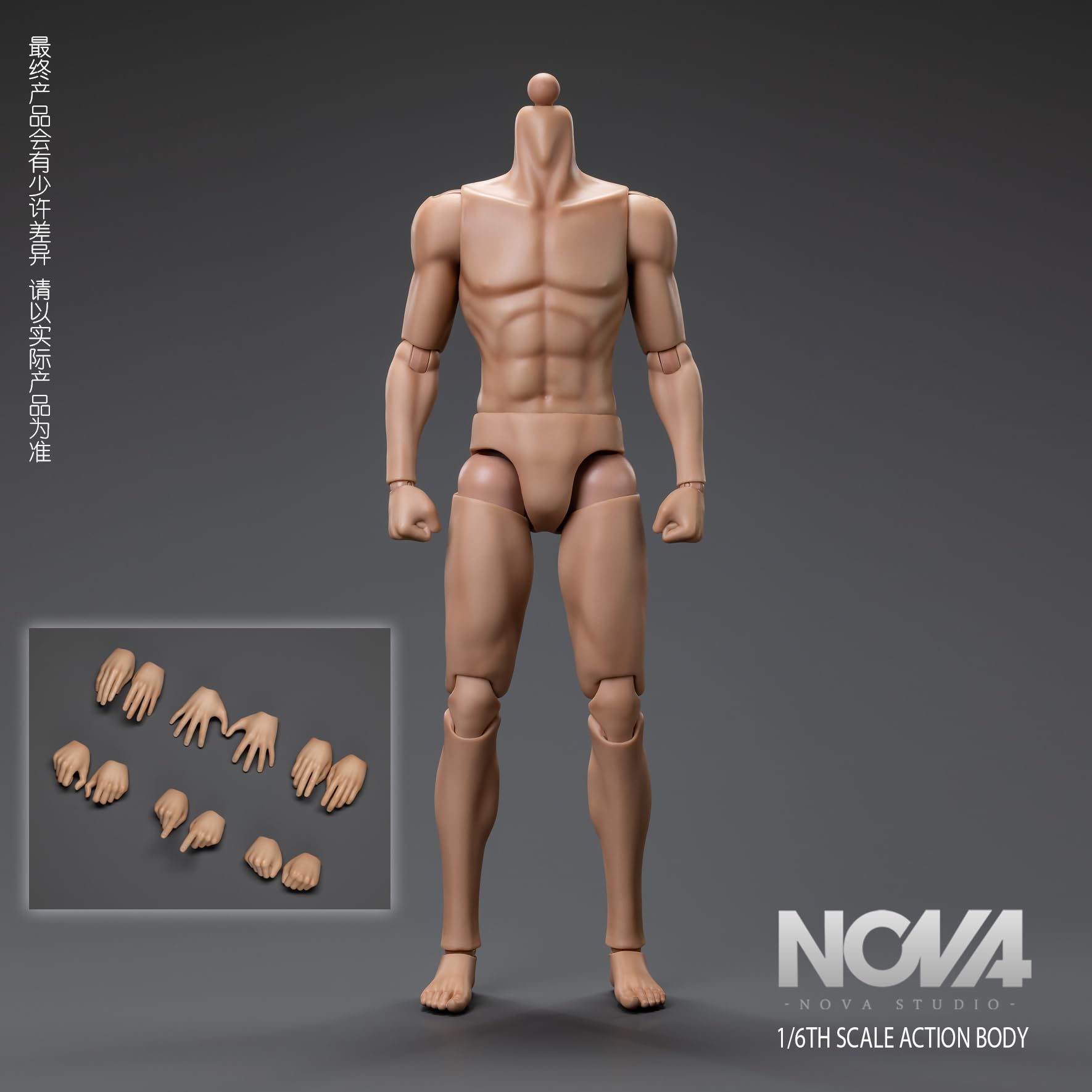 Shttle NOVA ボディセット Amazon | [Tbmodel] NOVA Studio 1/6 フィギュア 男性素体
