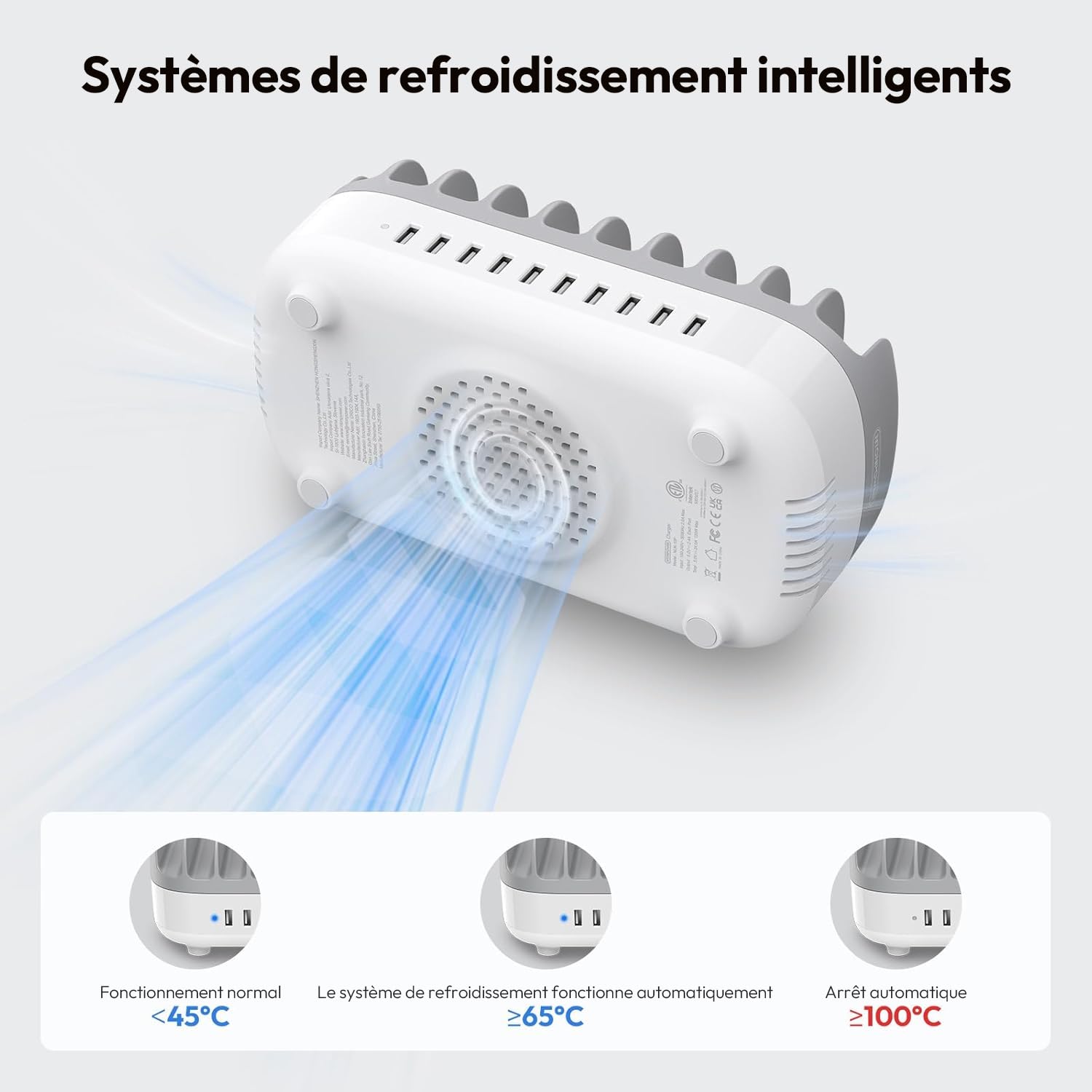 NTONPOWER Station de Charge avec commutateur, Chargeur Intelligent USB avec 10 connexions 120W, Support de Charge pour Smartphones Tablettes, Fil Chargeurs de Bureau, Gris