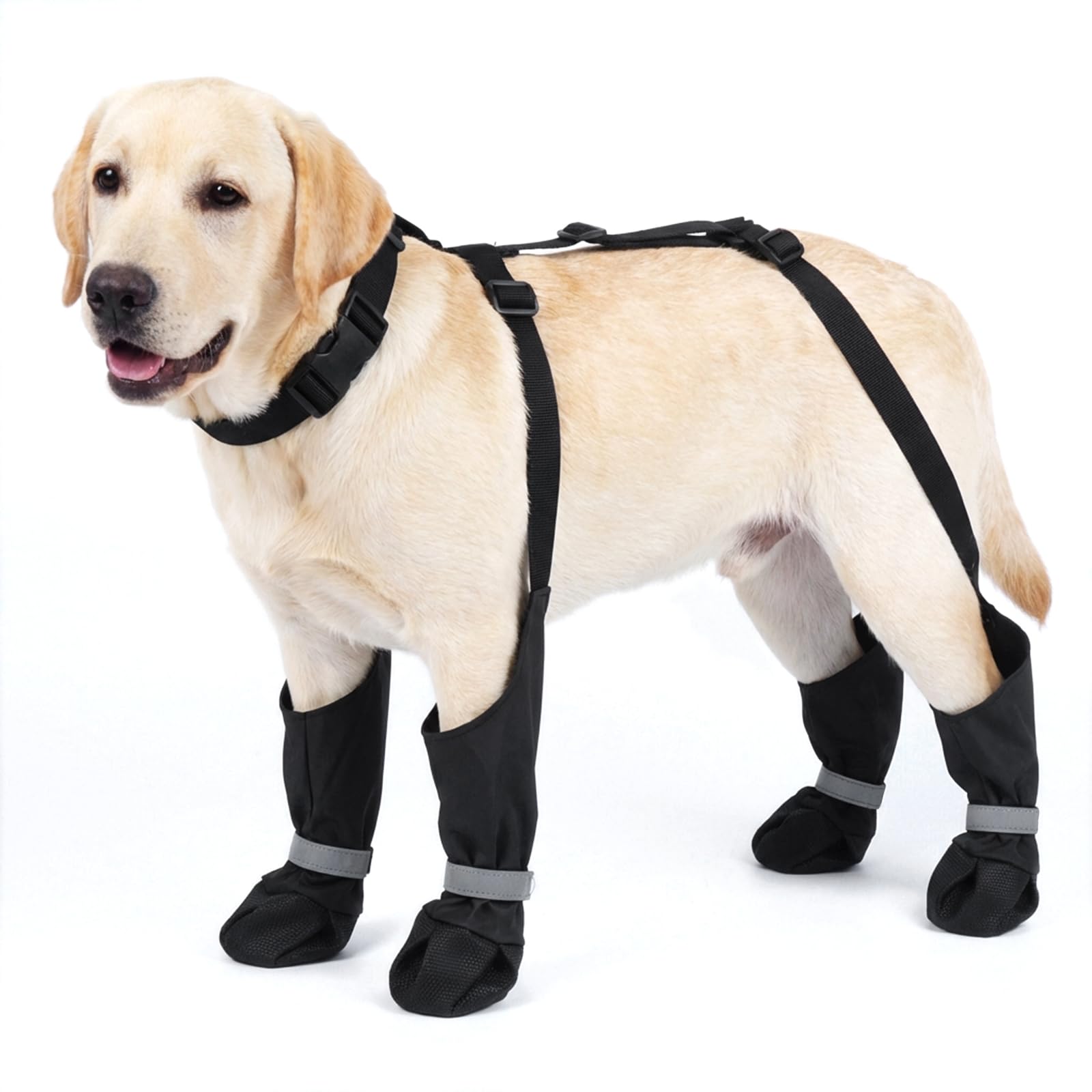 Allroaring Dog Suspender Boots, Waterproof Dog Rain Boots, Puppy Snow Shoes for Winter, Anti Dirt Pants with Shoes, Adjustable Suspender Pants for