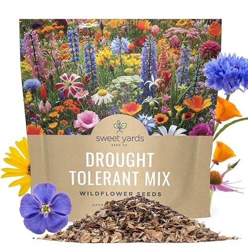 Drought Tolerant Wildflowers Mix &ndash; Extra Large Packet &ndash; Over 7,500 Open Pollinated Non-GMO Seeds...