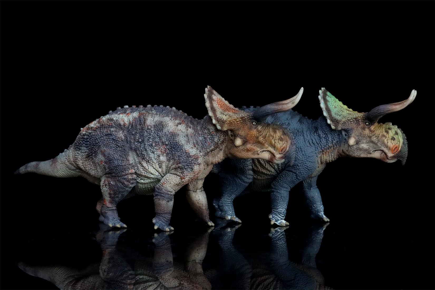 Amazon.com: WLNTDOLA HLG 1:35 Scale Nasutoceratops Figure PVC