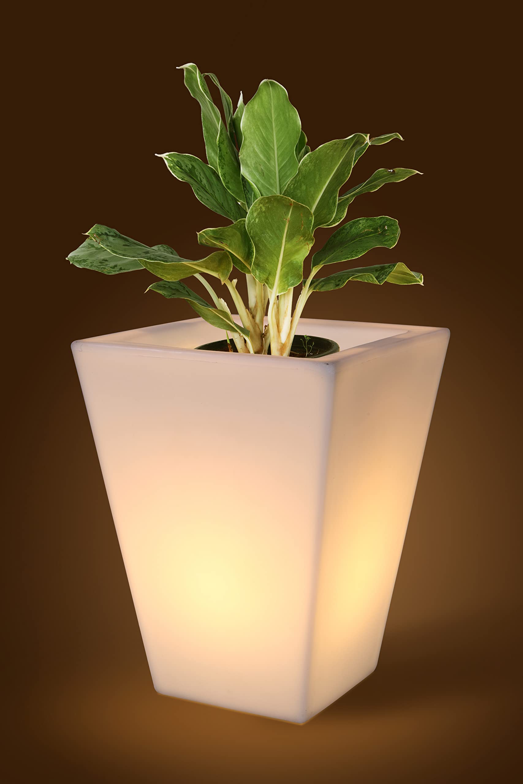 BLUME Eon Plastic Small LED Planter Vase for Living Room Home Balcony Decor Indoor Outdoor Gardening Decorative Flower Vase Plant Container Patio Pot (Natural, 14x16.5 Inch) (B0B5N77T22) Amazon Price History, Amazon Price Tracker