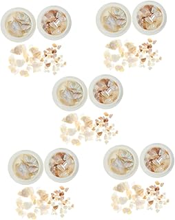 FOMIYES 10 Caixas De Decorações De Natal Sereia Decorar Decoração De Unhas Adesivos De Unhas Decalques De Unhas Suprimentos De Unhas Concha Do Mar Decorações De Decoração De Mar Estilo